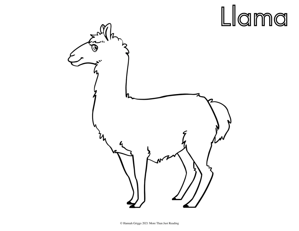 Llama coloring page: students color a line drawing of a standing llama with a fluffy coat, long neck and upright ears