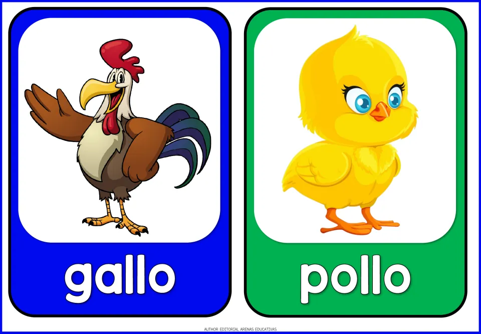 Spanish farm animal flashcards 9–10 of 14: gallo (rooster) and pollo (chicken), shown as a rooster and chick