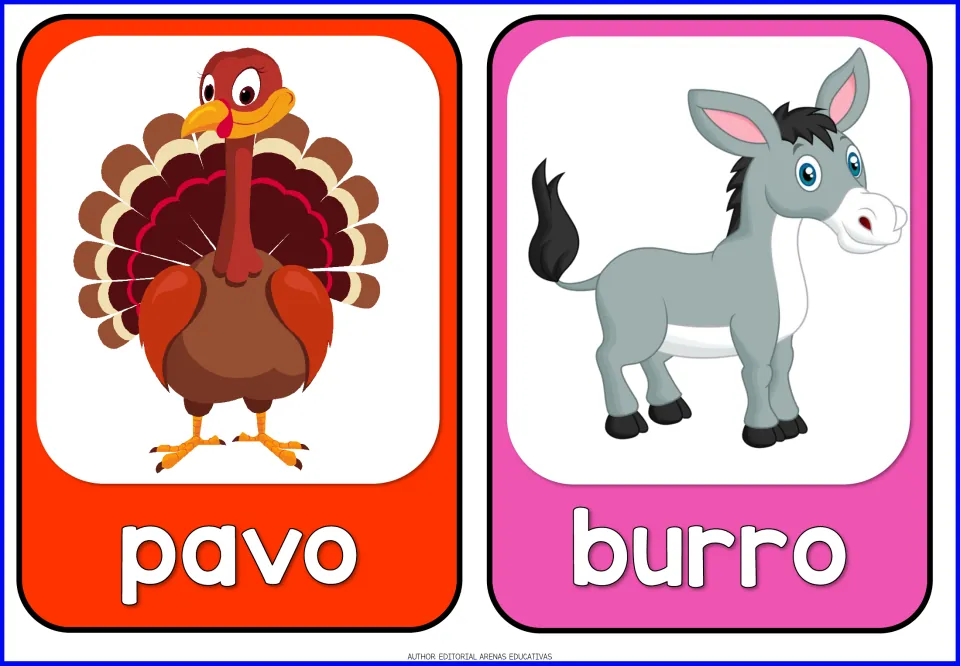 Spanish farm animal flashcards 11–12 of 14: pavo (turkey) and burro (donkey), each showing the named animal