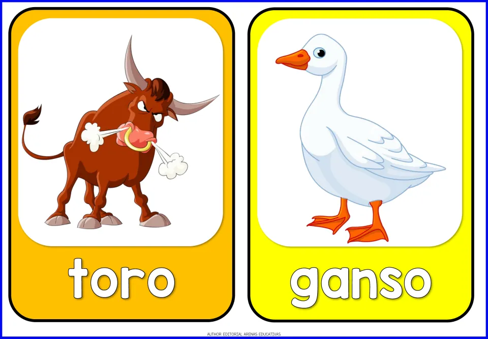 Spanish farm animal flashcards 13–14 of 14: toro (bull) and ganso (goose), each illustrated with its animal