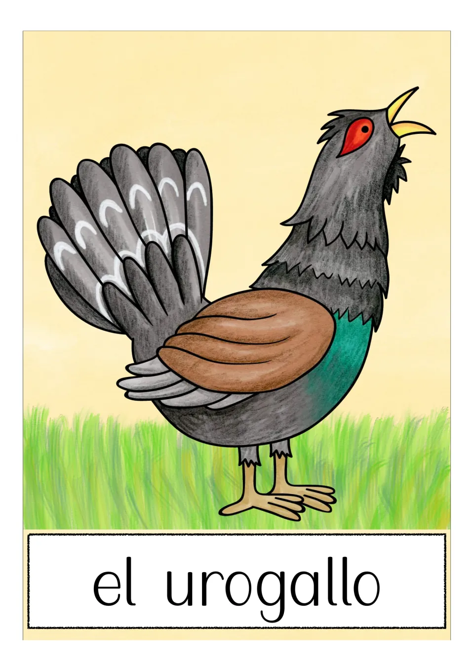 Spanish animal vocabulary flashcard labeled 'el urogallo' (capercaillie), showing a bird with a fanned tail