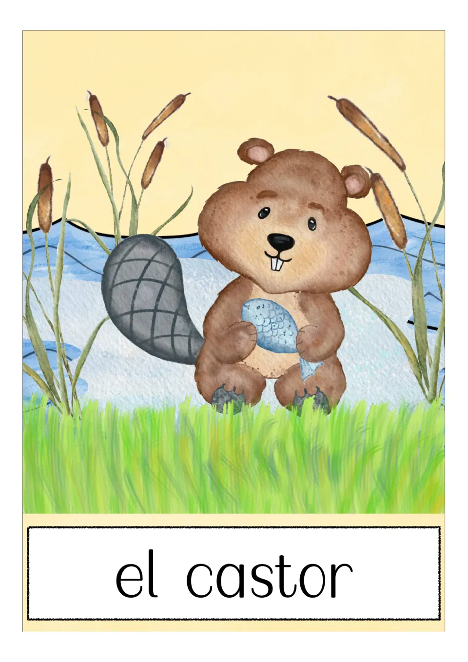 Spanish animal vocabulary flashcard labeled 'el castor' (beaver), showing a beaver holding a fish by water