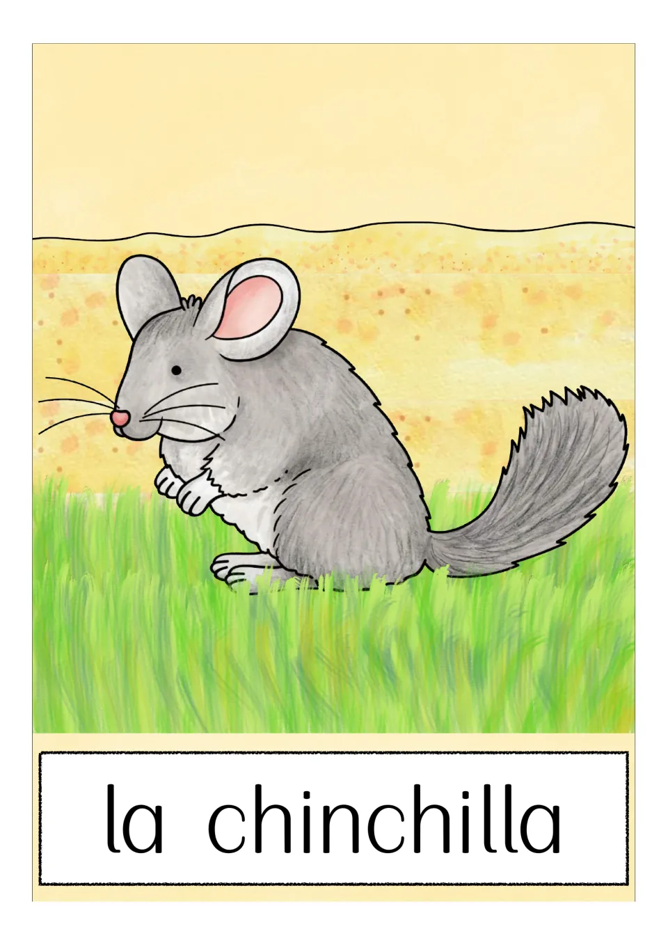 Spanish animal vocabulary flashcard labeled 'la chinchilla' (chinchilla), showing a gray chinchilla on grass