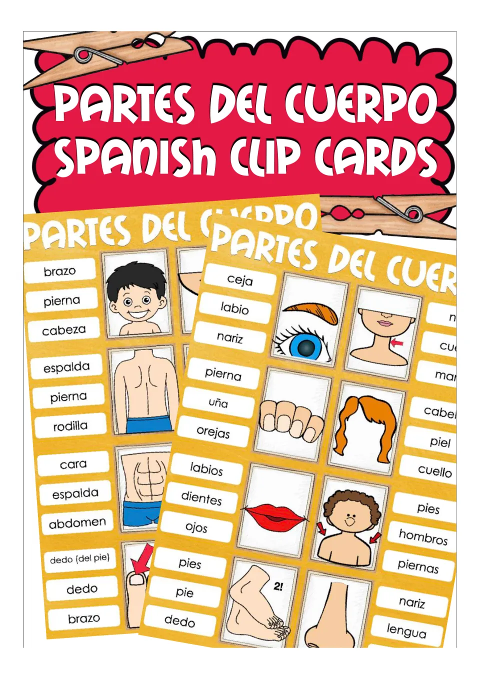 Partes del Cuerpo Spanish Clip Cards cover showing card sheets with body-part pictures and three Spanish word choices each