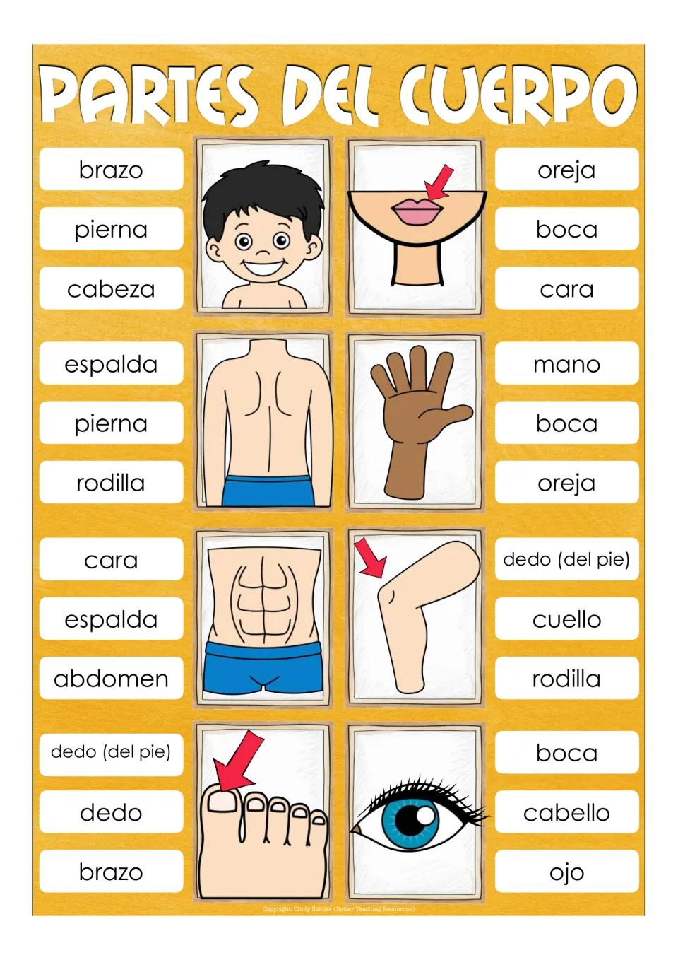 Spanish body parts: 8 clip cards where students clip the right word, e.g. cabeza for head, mano for hand, rodilla for knee