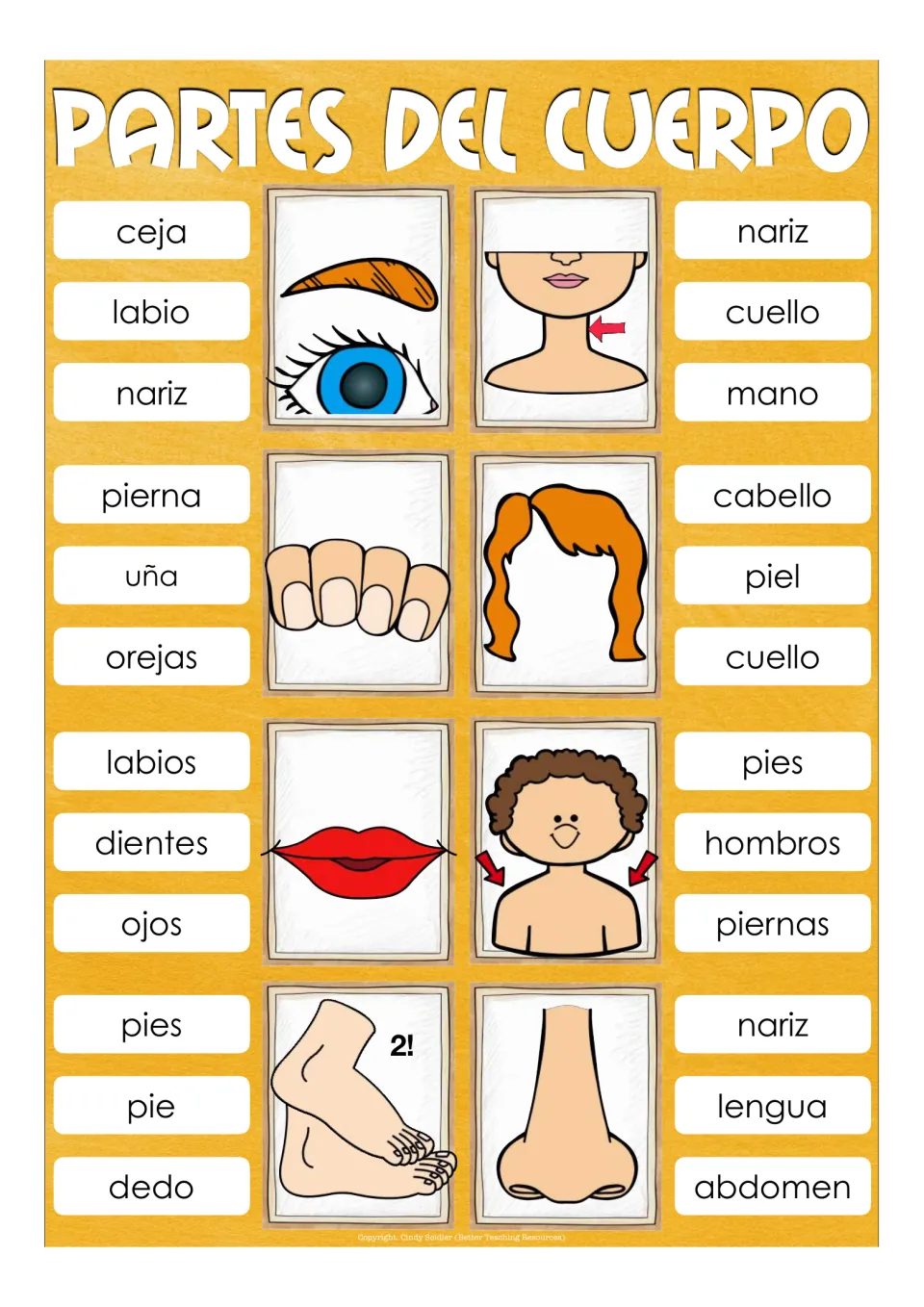 Face and body words in Spanish: students clip ceja, cuello, uña, cabello, hombros, pies or nariz on 8 picture cards