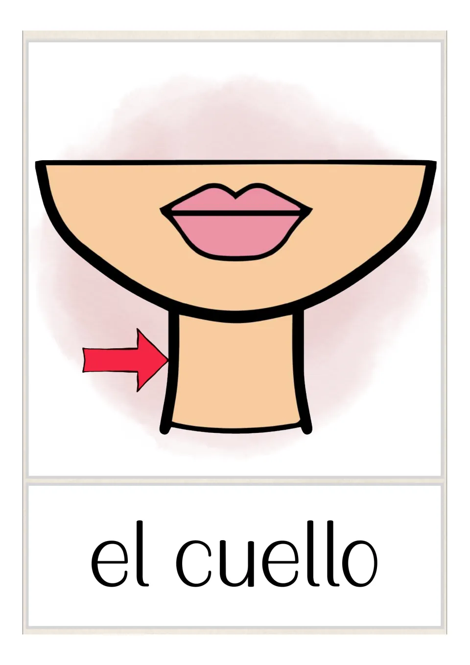 Spanish body-parts vocabulary card labeled 'el cuello' (neck), with an arrow pointing to the side of the neck