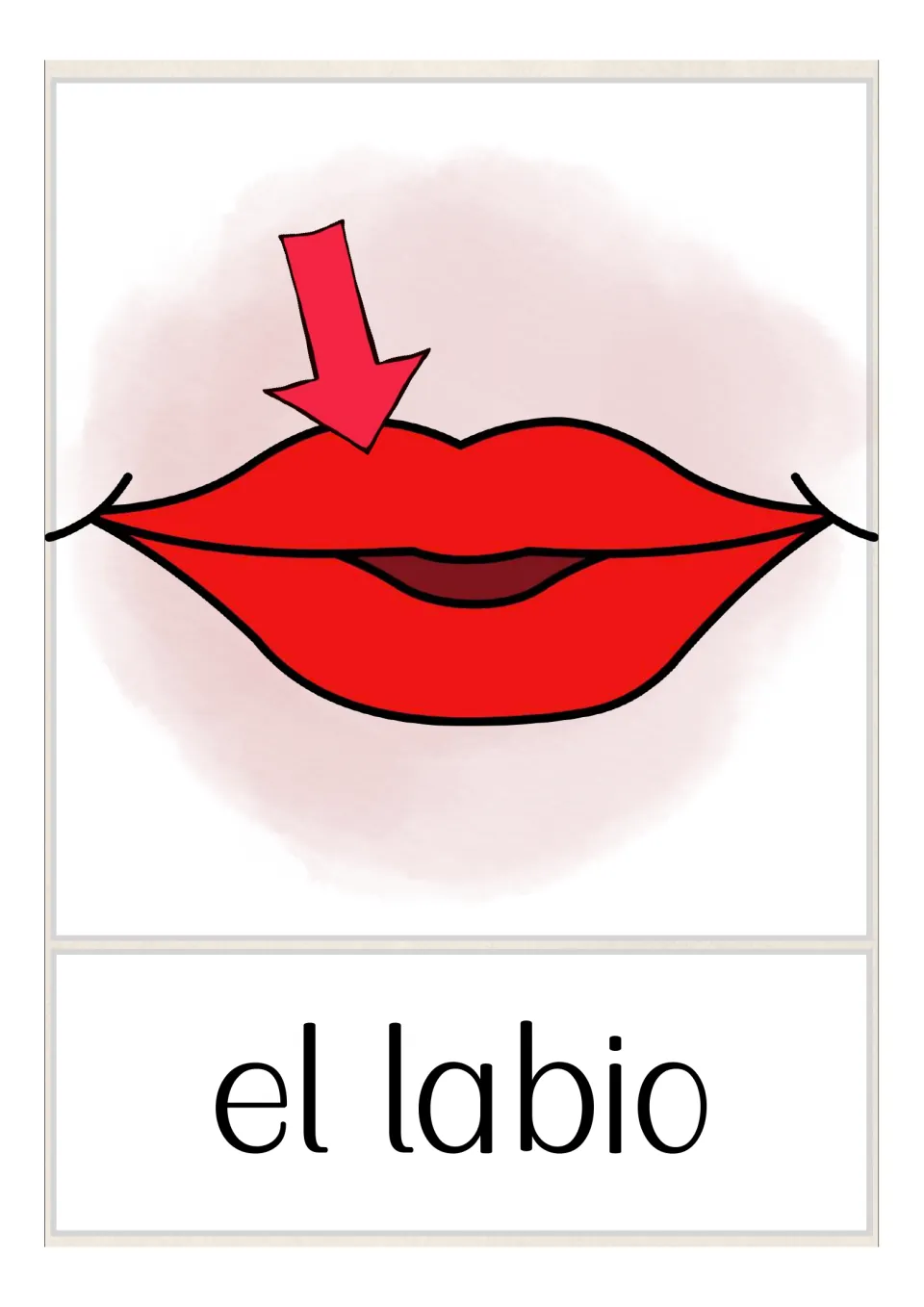 Spanish body-parts vocabulary card labeled 'el labio' (lip), with an arrow pointing to the upper lip