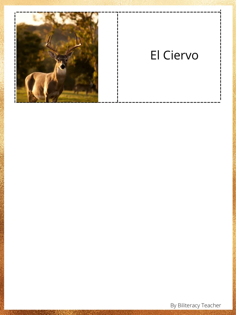 Final animal memory pair in the Spanish tiger packet: a deer photograph and the label El Ciervo (deer)