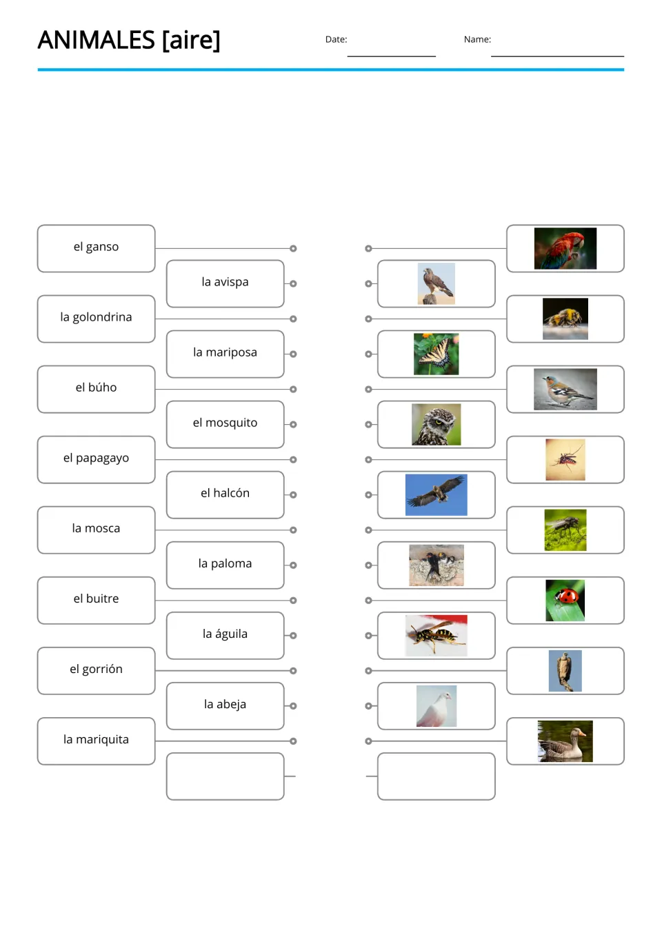 Spanish word-to-picture matching for 15 animals, including avispa (wasp), mariposa (butterfly), and mosca (fly)