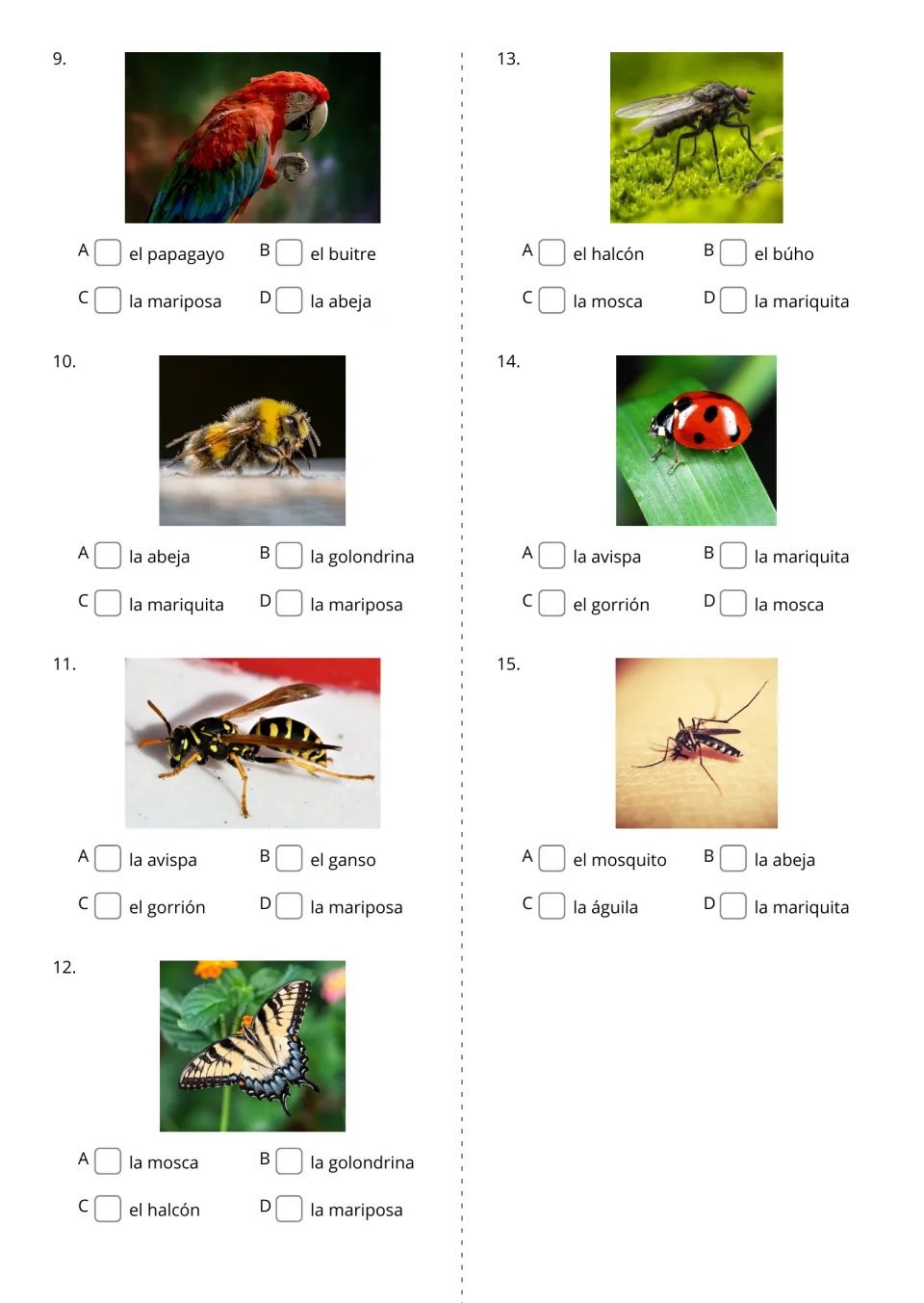 Spanish photo identification items 9–15 cover parrot, bee, wasp, butterfly, fly, ladybug, and mosquito
