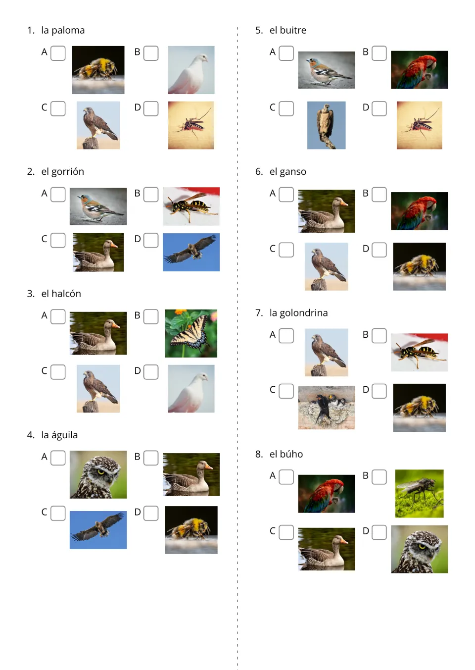 Spanish word-to-photo items 1–8 give four picture choices for paloma (dove), búho (owl), and six more birds