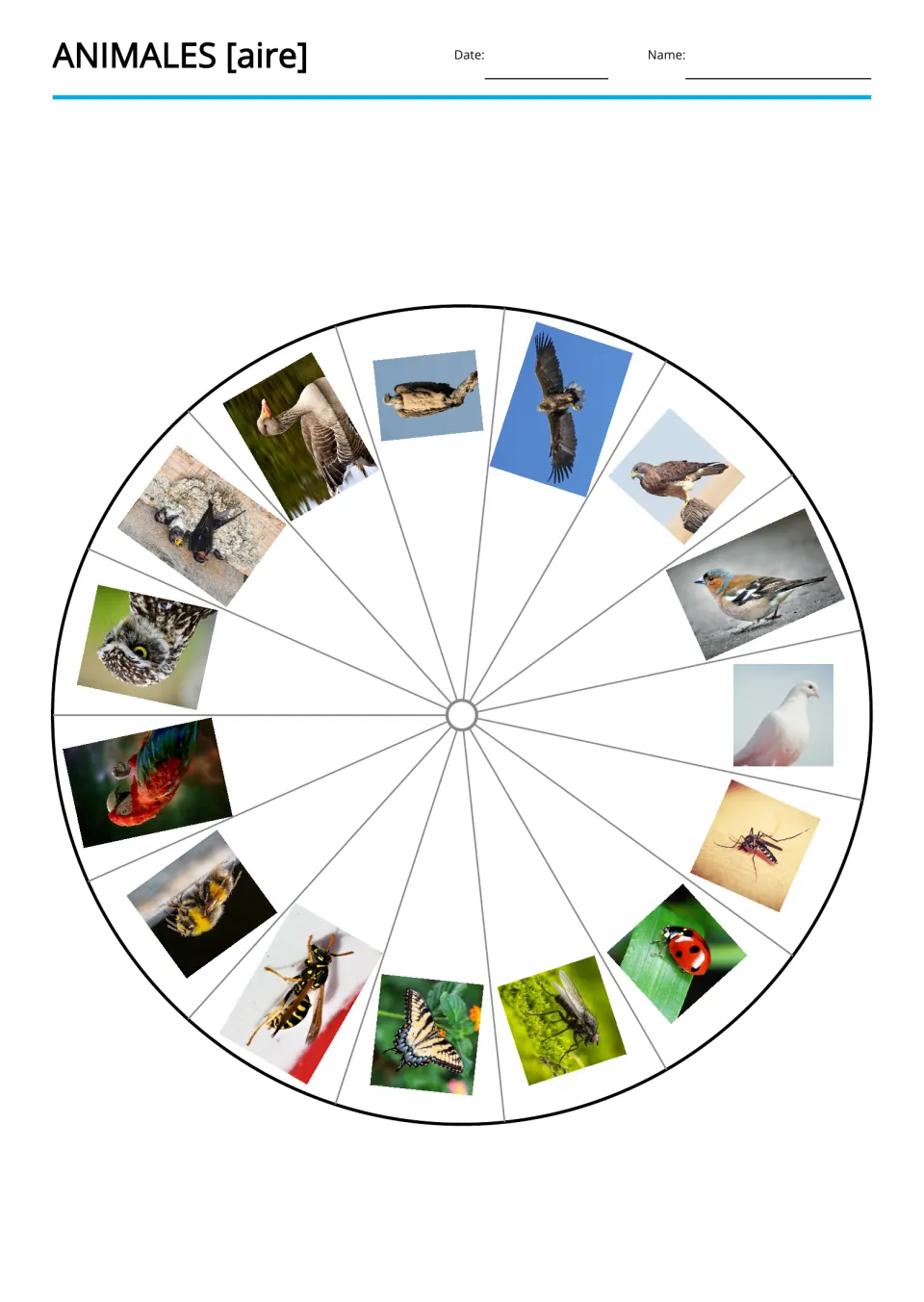 Animal vocabulary picture wheel shows all 15 birds and insects, including a dove, eagle, bee, and butterfly