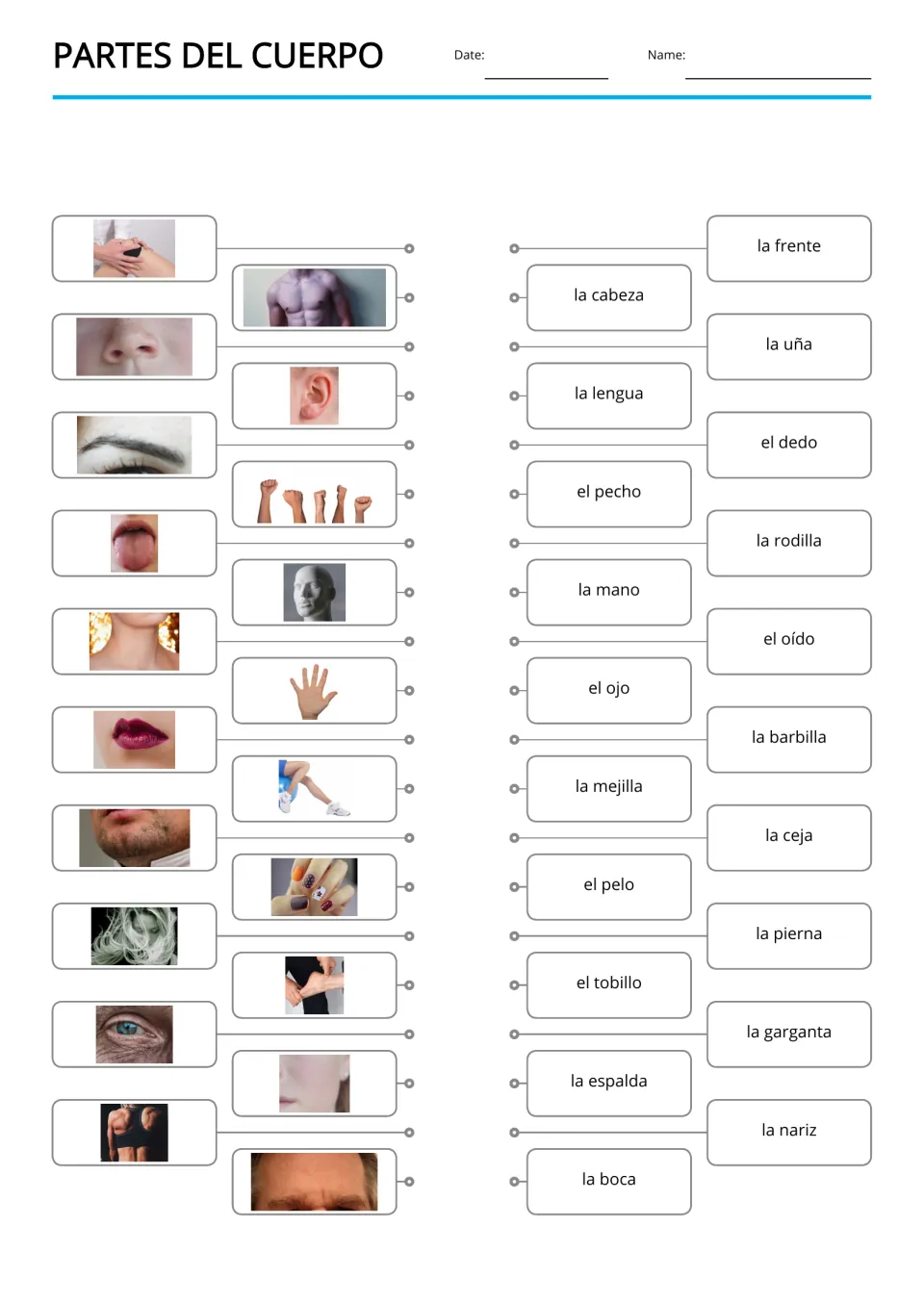 Body parts matching: students draw lines from 20 photos, such as an ear and a nose, to Spanish words like la frente