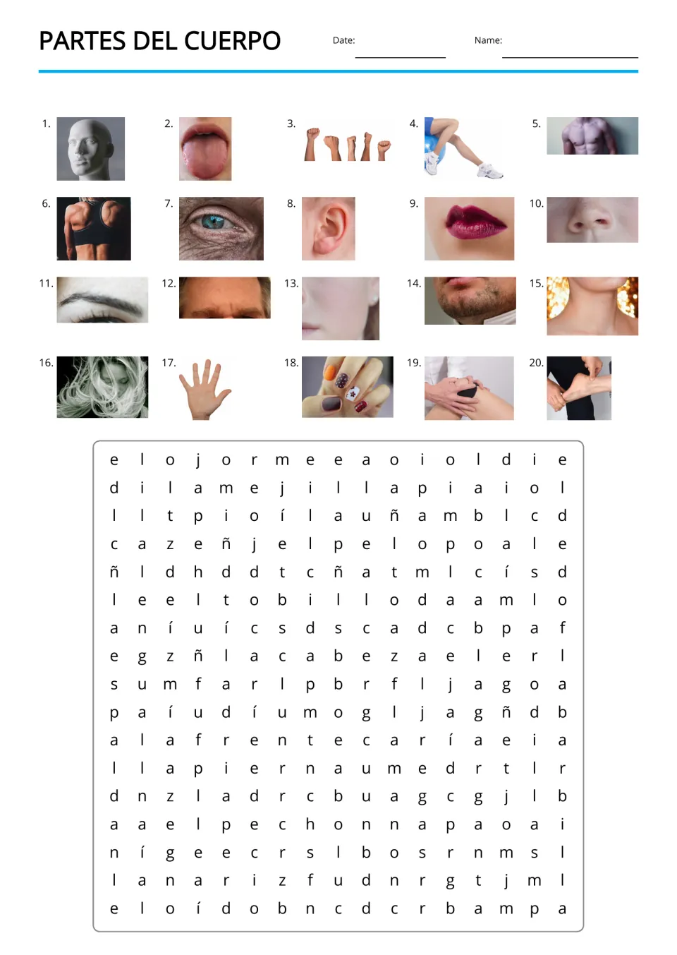 Body parts word search: students find 20 hidden Spanish words, using numbered photos of a head, eye, ear and more