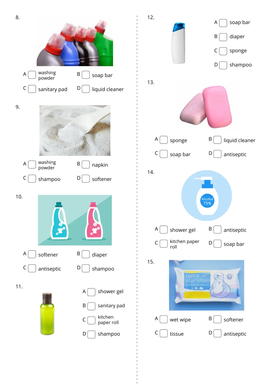 Hygiene picture questions 8–15 ask students to select names for liquid cleaner, shampoo, and six more
