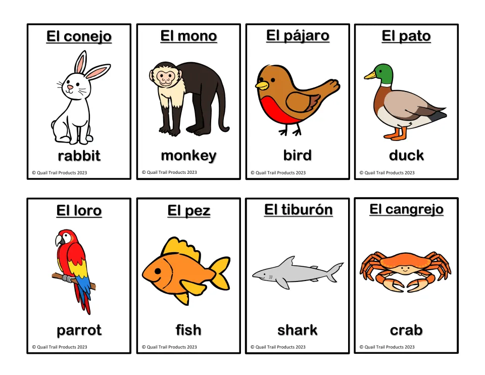 Bilingual animal flashcards 5–12: el conejo (rabbit), el mono (monkey), el pájaro (bird), and five more
