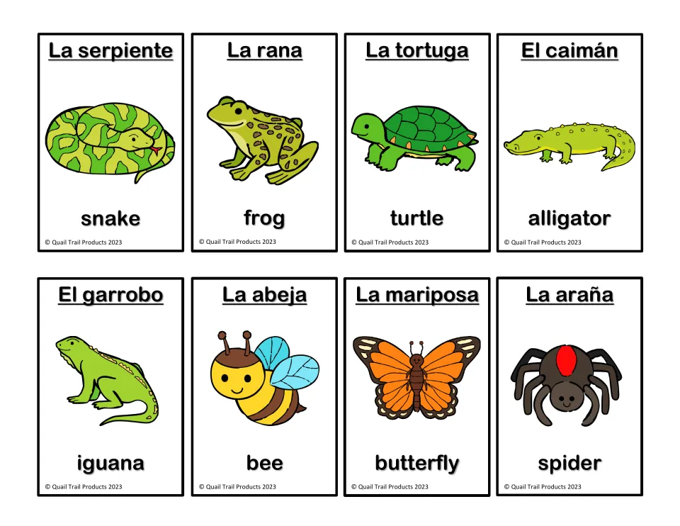 Bilingual animal flashcards 13–20: la serpiente (snake), la rana (frog), la tortuga (turtle), and five more