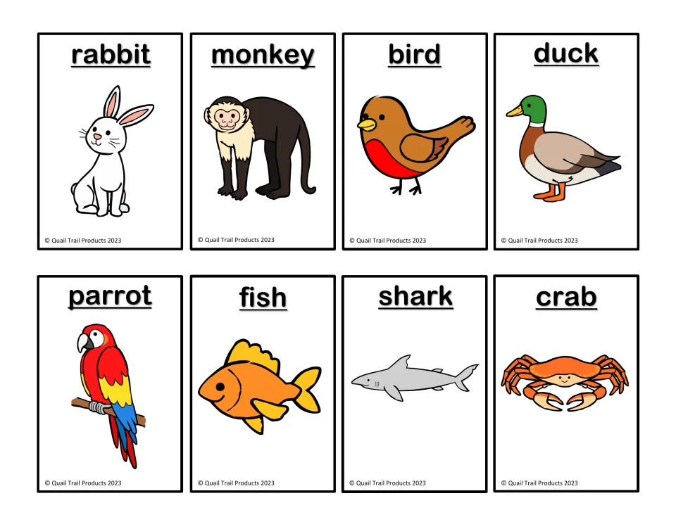 English picture matching cards 5–12: rabbit, monkey, bird, duck, parrot, fish, shark, and crab