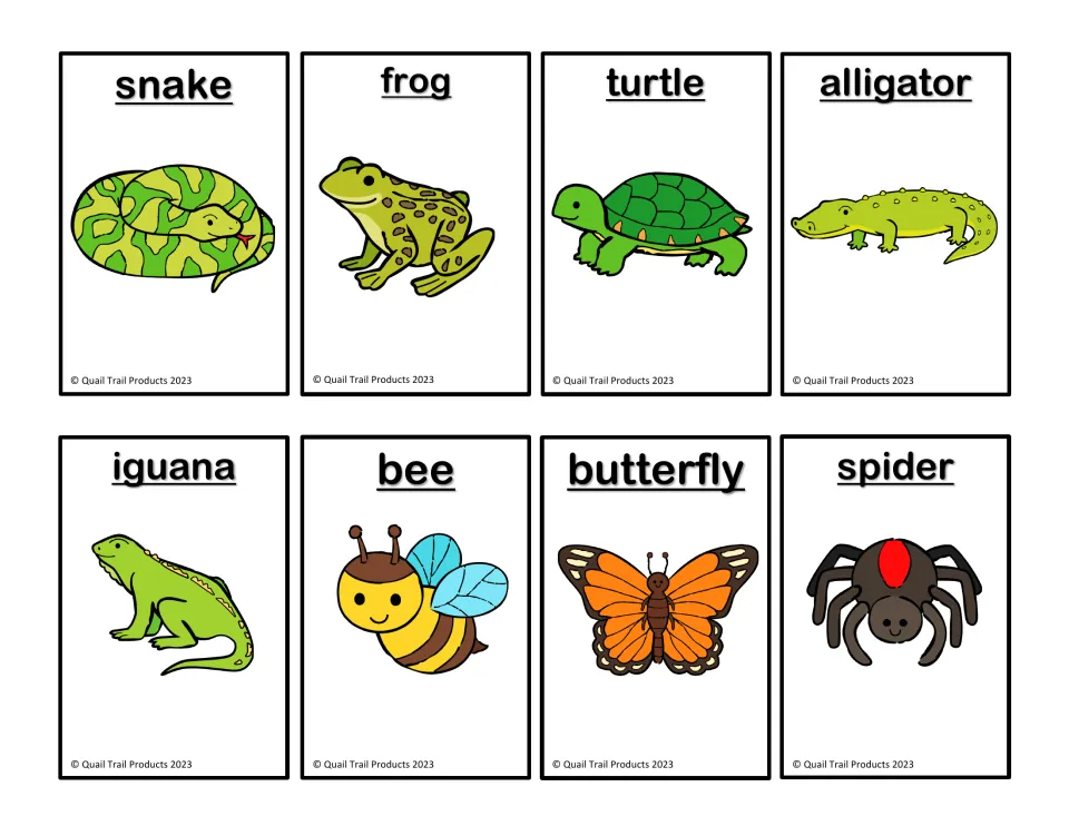English picture matching cards 13–20: snake, frog, turtle, alligator, iguana, bee, butterfly, and spider