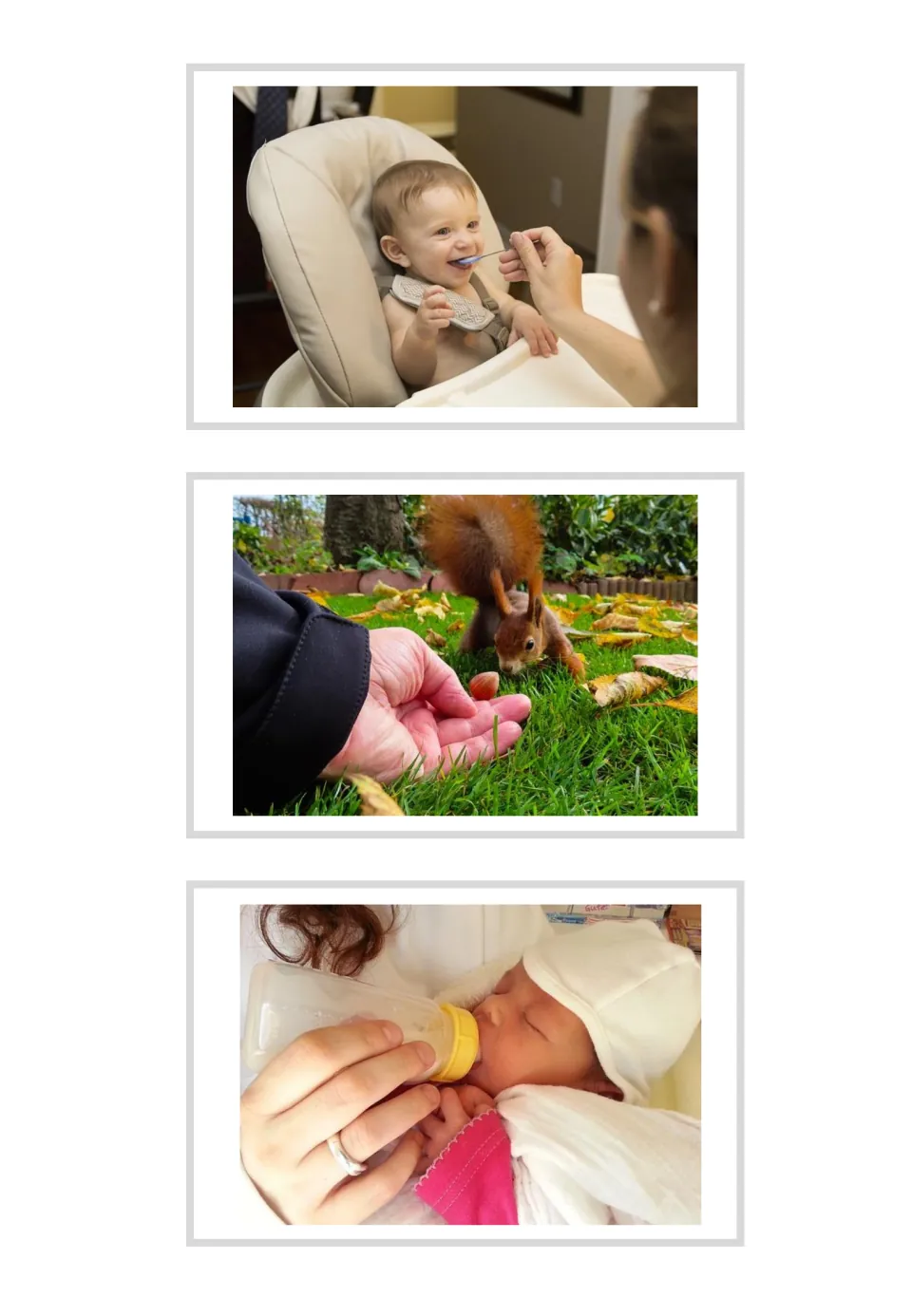 Unlabeled alimentar photo cards: spoon-feeding a baby, a hand offering a squirrel a nut, a newborn bottle-fed