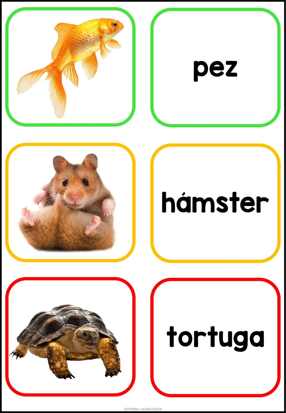 Spanish animal flashcard sheet 5: photos paired with pez (fish), hámster (hamster) and tortuga (turtle)