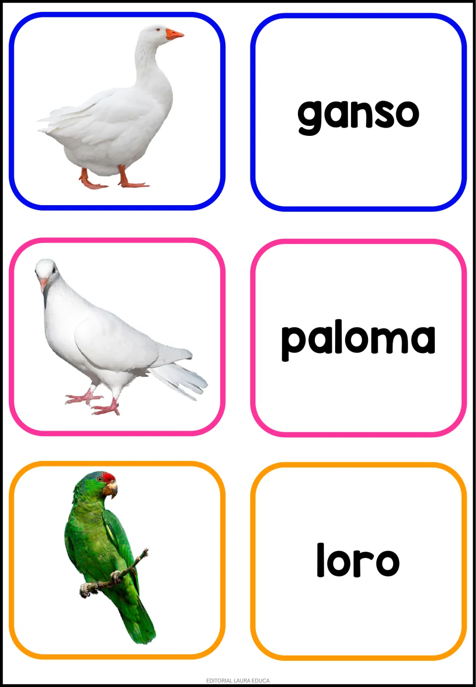 Spanish animal flashcard sheet 6: photos paired with ganso (goose), paloma (pigeon) and loro (parrot)