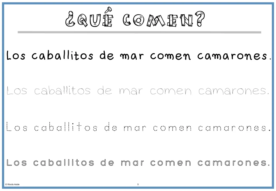 Spanish fact and tracing practice: 'Los caballitos de mar comen camarones' (seahorses eat shrimp)