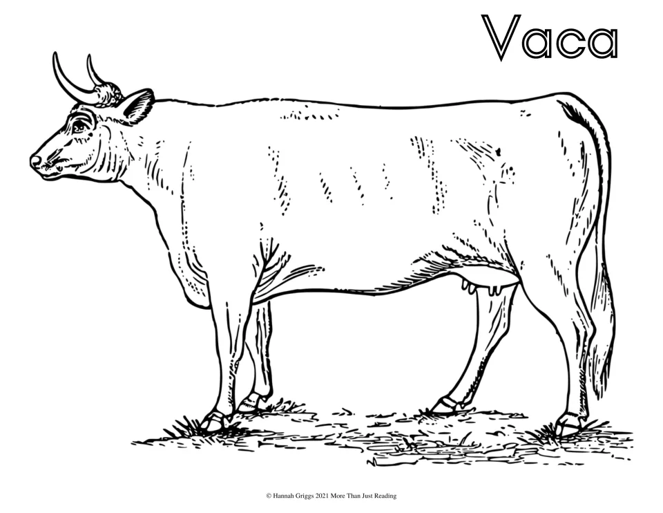 Spanish farm vocabulary coloring page labeled 'Vaca' (cow), featuring a cow with horns and an udder
