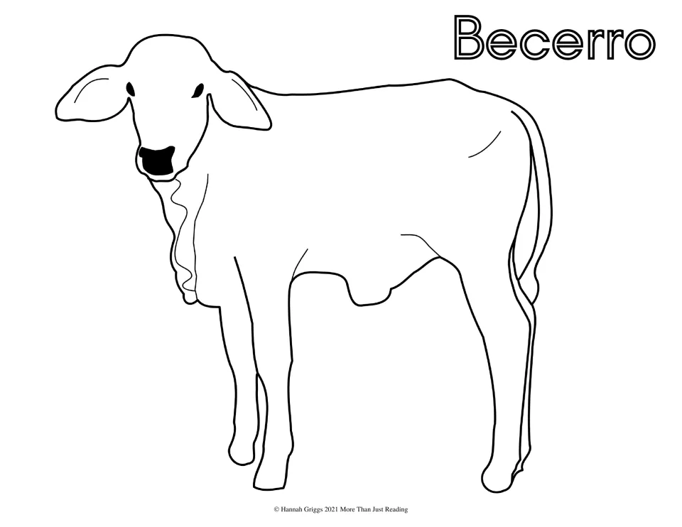 Spanish farm vocabulary coloring page labeled 'Becerro' (calf), featuring a standing calf to color