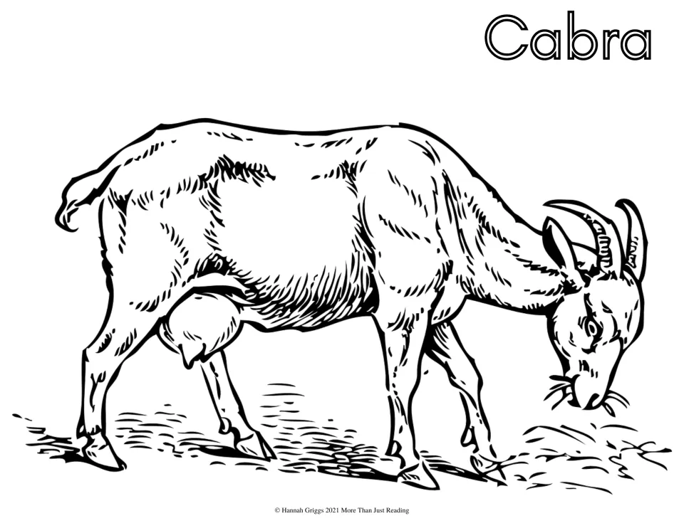 Spanish farm vocabulary coloring page labeled 'Cabra' (goat), featuring a horned goat grazing with its head down