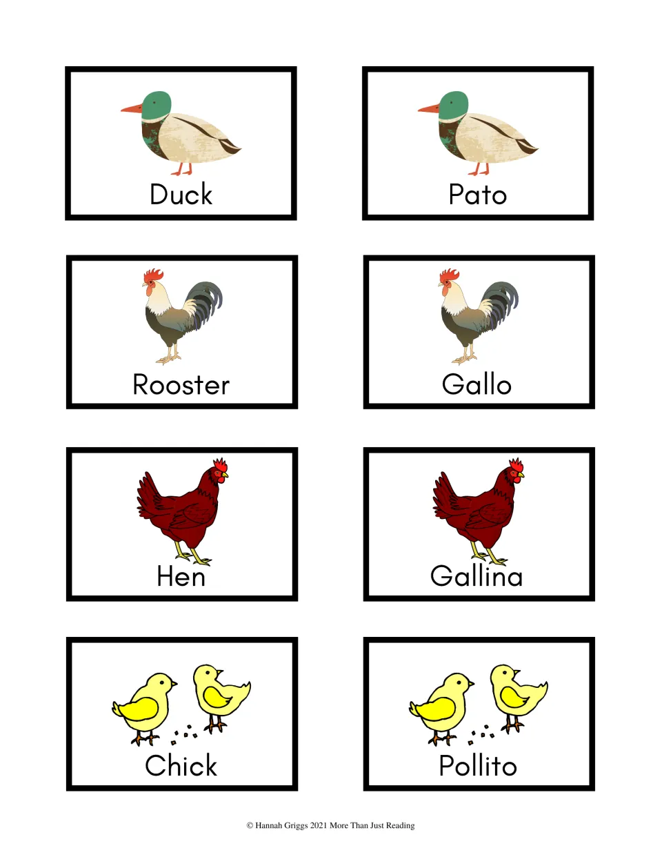 Color vocabulary cards 25–32: pato (duck), gallo (rooster), gallina (hen), and pollito (chick), with English pairs