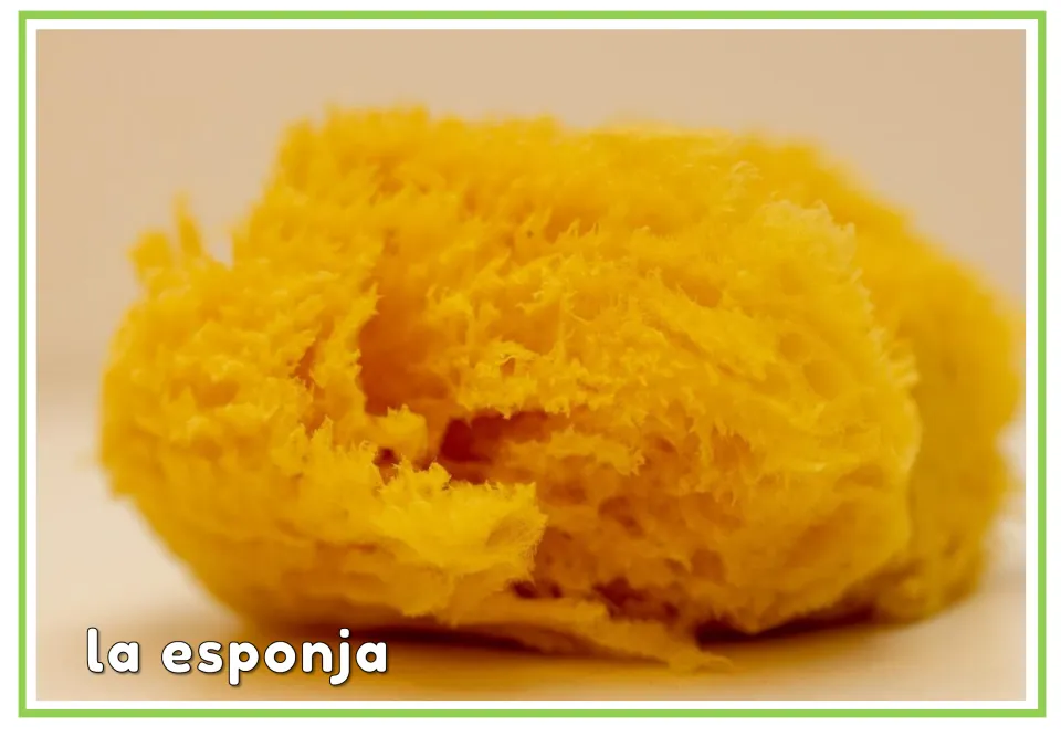 Labeled Spanish hygiene vocabulary flashcard showing a yellow sponge with the words la esponja (sponge)