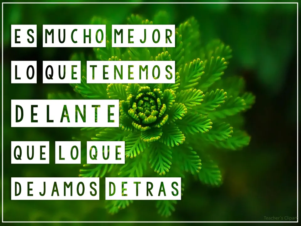 Quote 'Es mucho mejor lo que tenemos delante que lo que dejamos detrás' in Spanish over a close-up of a green fern