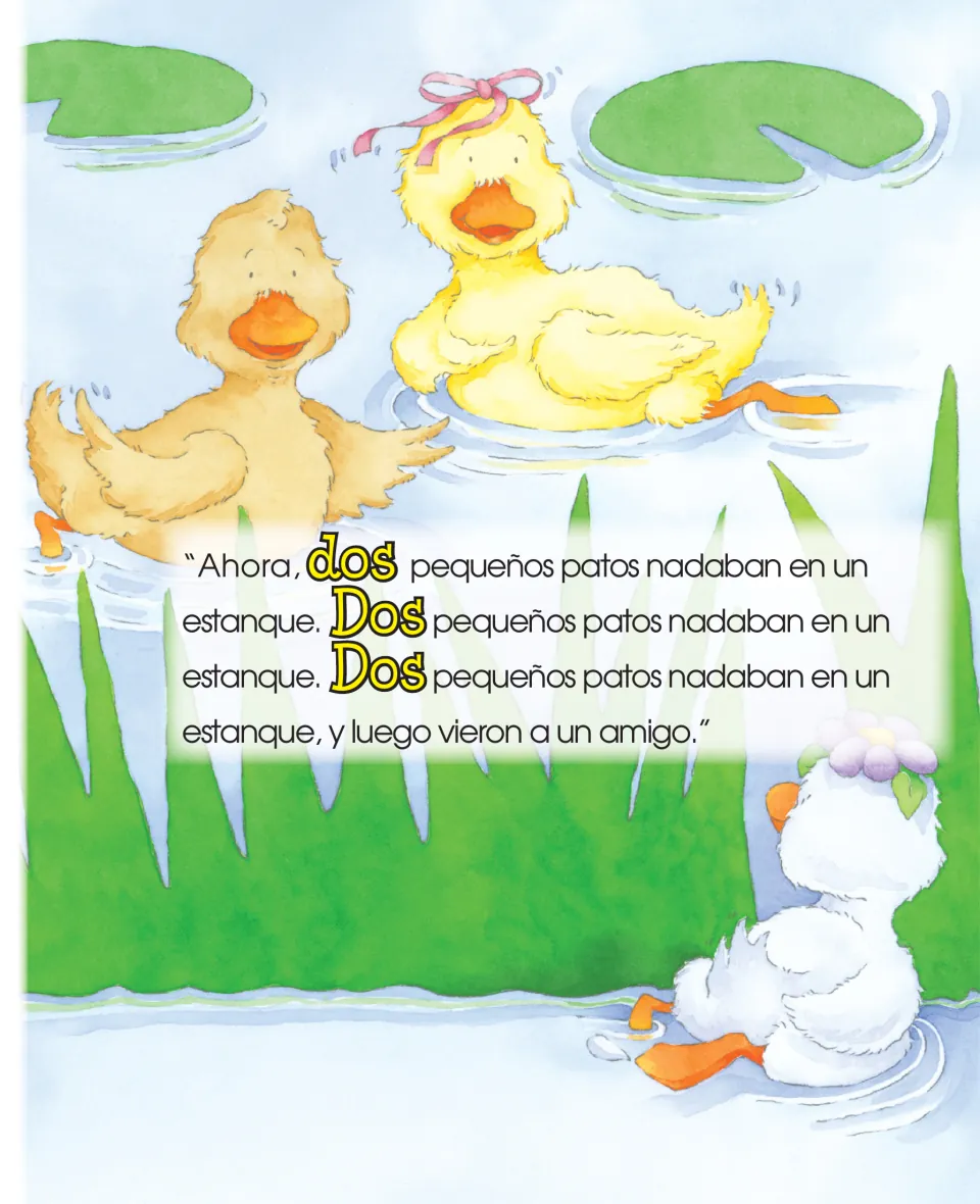 Duck counting story continues with 'dos' (two) little ducks swimming in a pond before they see a friend