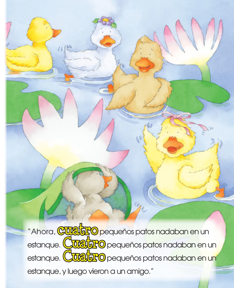 Duck counting story continues with 'cuatro' (four) little ducks swimming in a pond before they see a friend