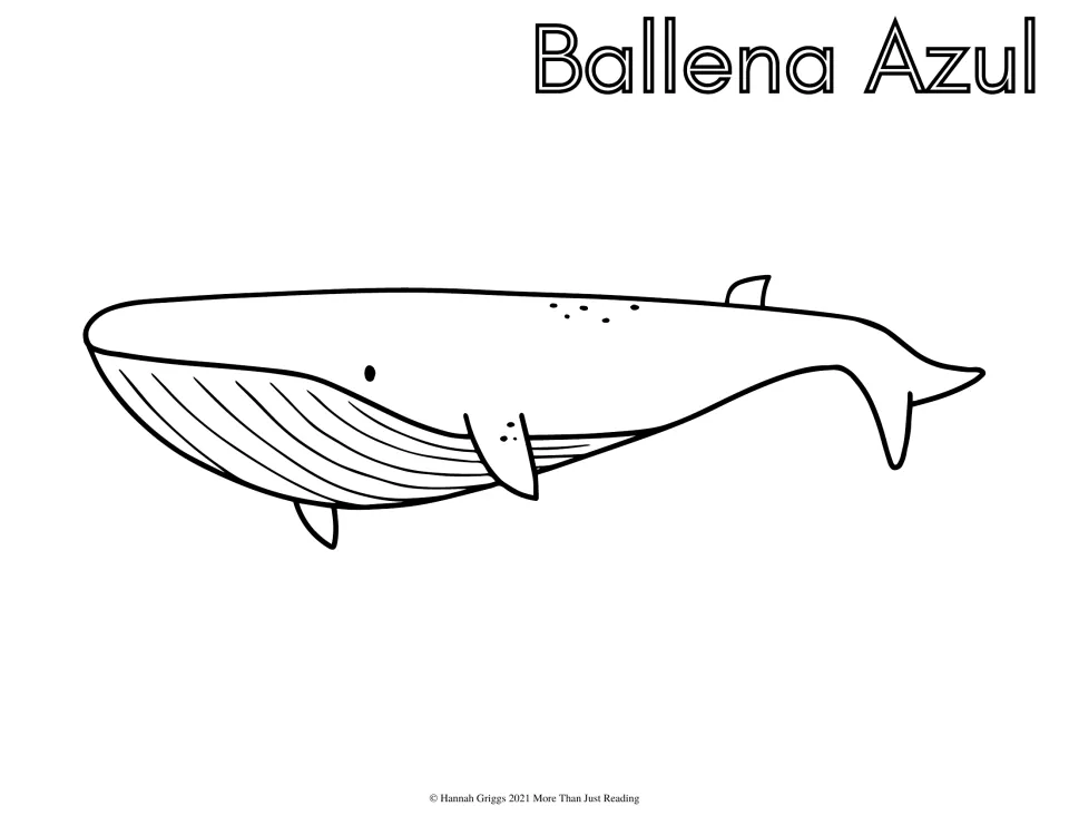 Ballena Azul (blue whale): students color a long blue whale drawing and its Spanish name in hollow letters