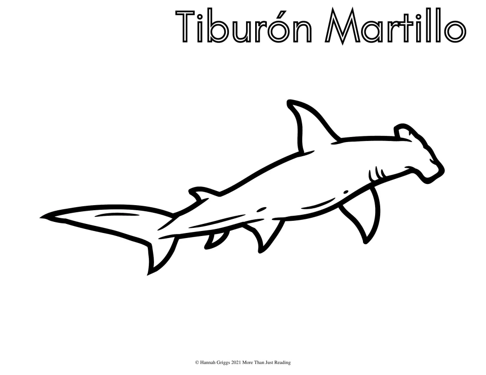 Tiburón Martillo (hammerhead shark): students color a hammerhead with its wide T-shaped head and its Spanish name