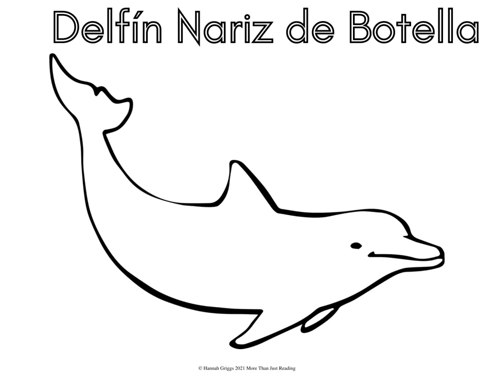 Delfín Nariz de Botella (bottlenose dolphin): students color a curving dolphin drawing and its four-word Spanish name