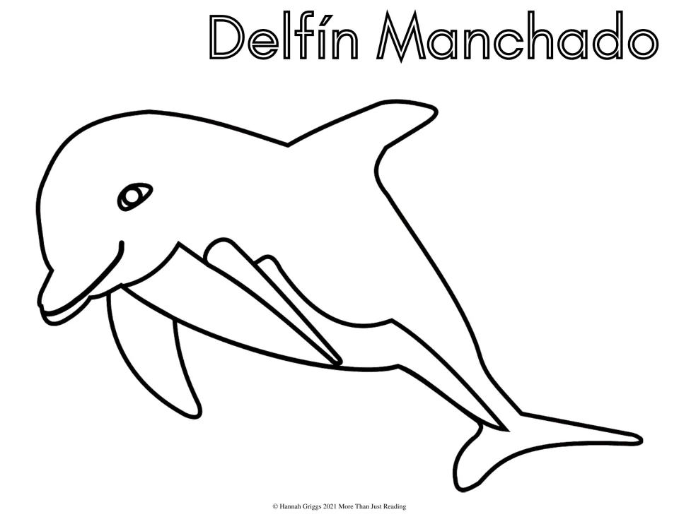 Delfín Manchado (spotted dolphin): students color a smiling leaping dolphin and the hollow-letter Spanish name