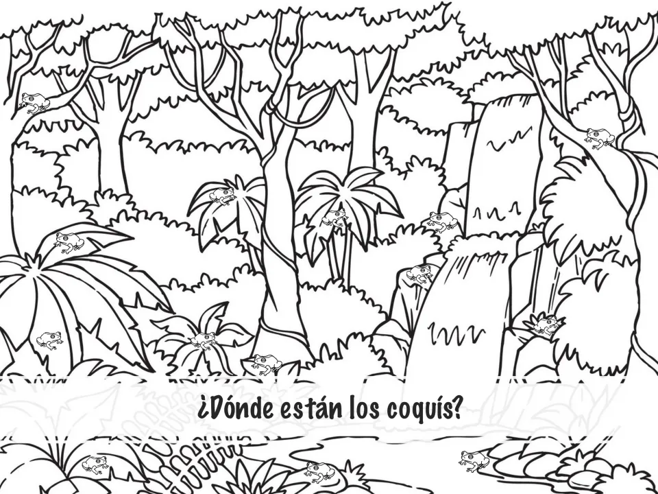 ¿Dónde están los coquís? colouring page: students find coquí frogs hidden in a rainforest scene with trees and a waterfall