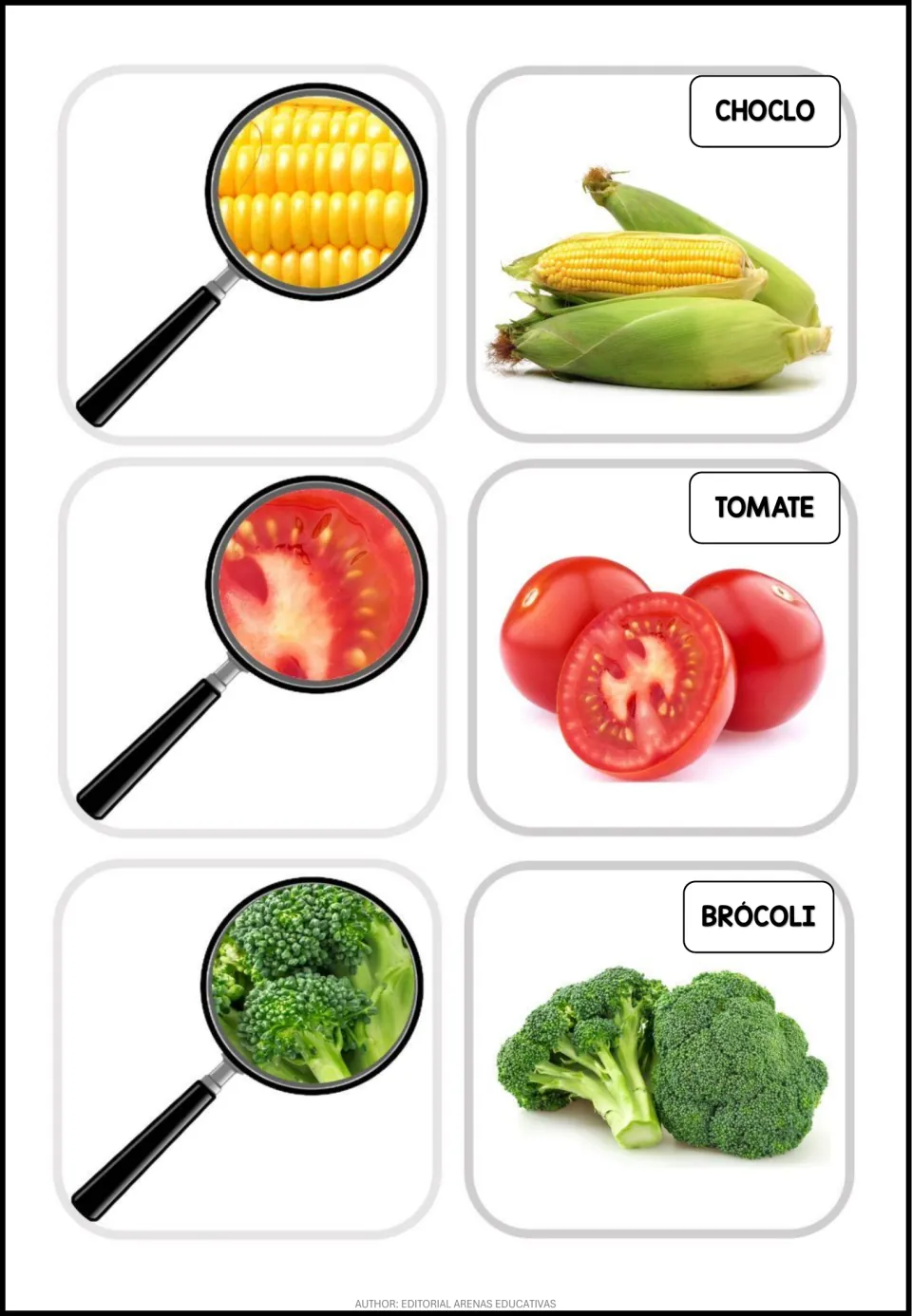 Spanish flashcards: choclo (corn), tomate (tomato), and brócoli (broccoli), with magnified photo details
