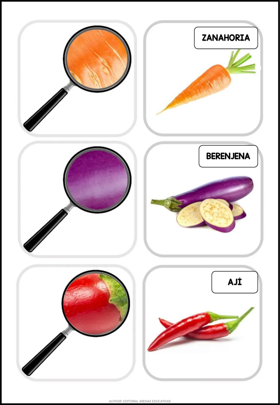 Spanish flashcards: zanahoria (carrot), berenjena (eggplant), and ají (chili pepper), with photo details
