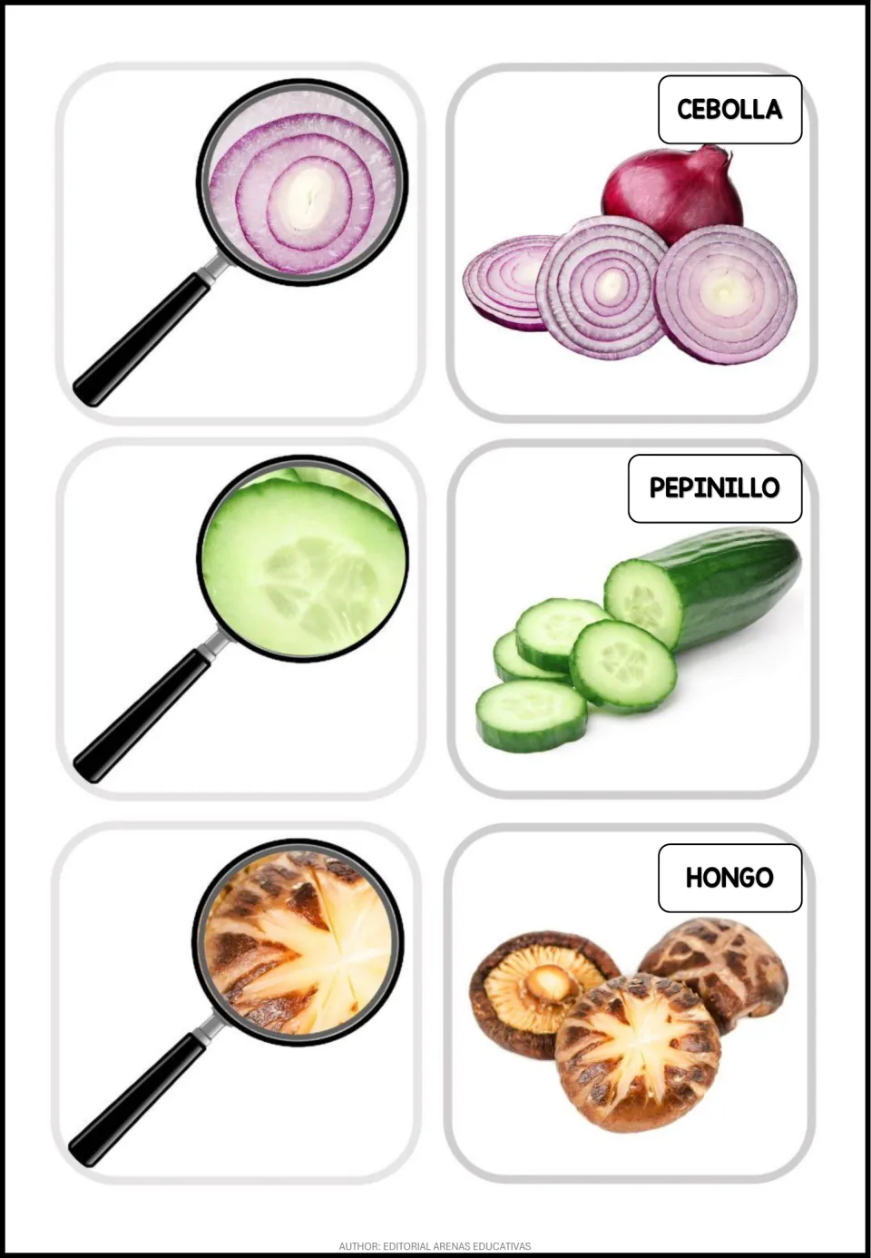 Spanish flashcards: cebolla (onion), pepinillo (cucumber), and hongo (mushroom), with photo details