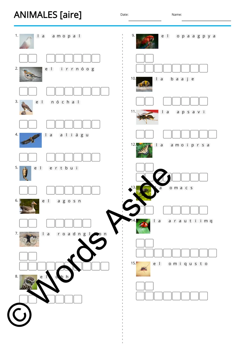 Spanish animal anagrams for 15 photos, including paloma (dove), ganso (goose), and mariposa (butterfly)