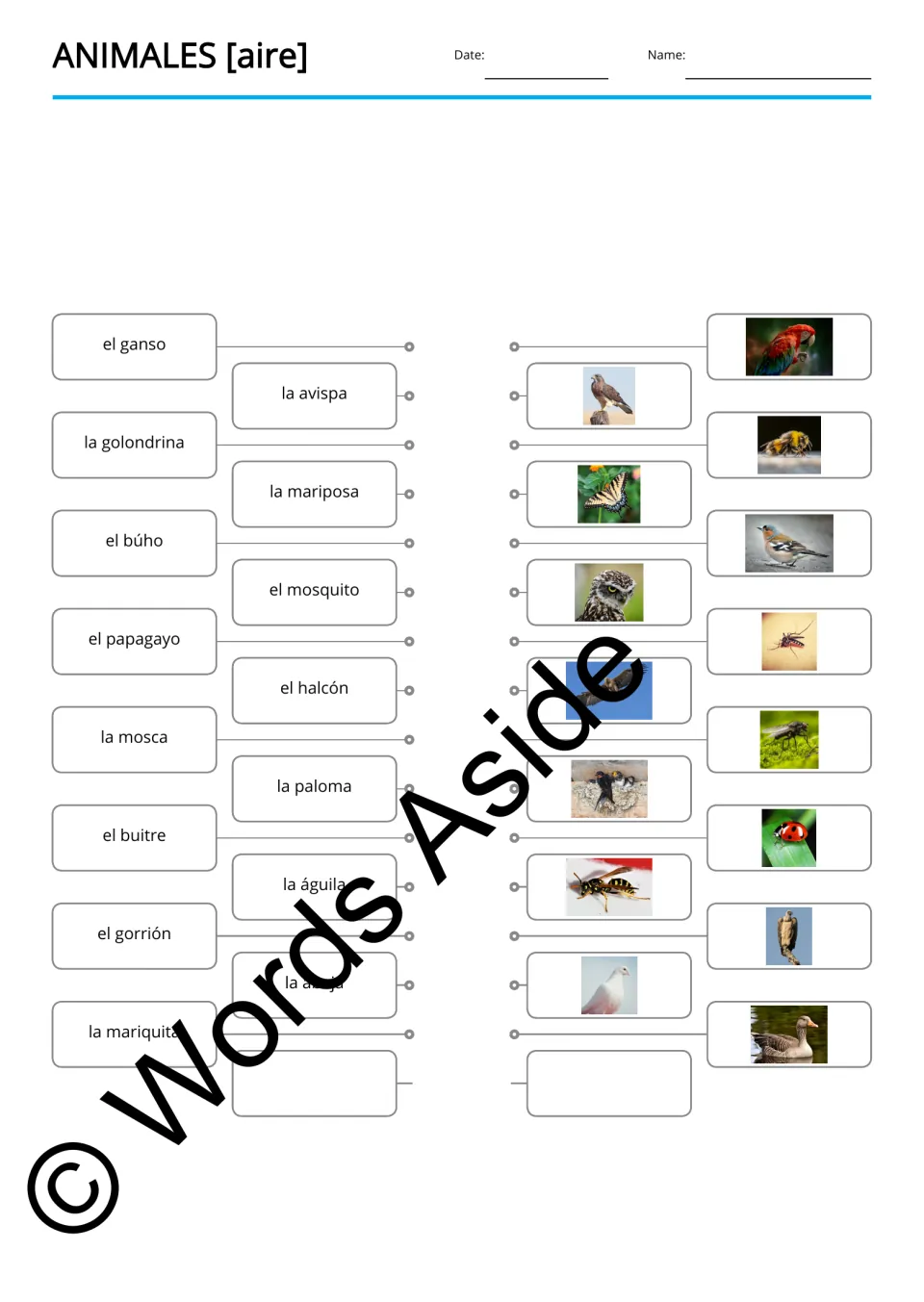 Spanish word-to-picture matching for 15 animals, including búho (owl), avispa (wasp), and mosca (fly)