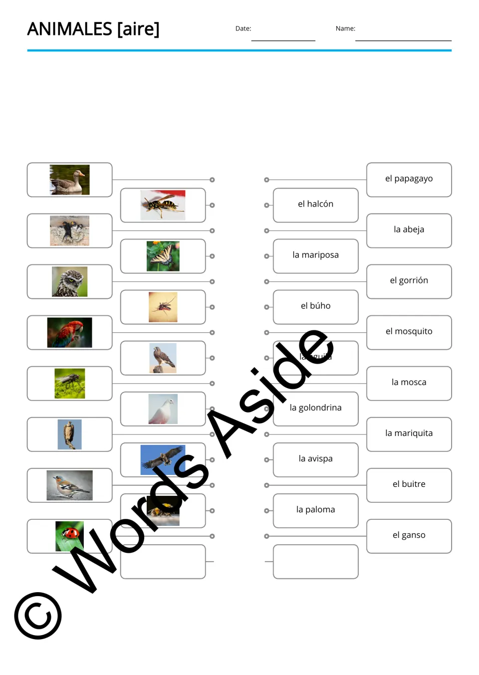 Spanish picture-to-word matching for 15 animals, including buitre (vulture), abeja (bee), and ganso (goose)