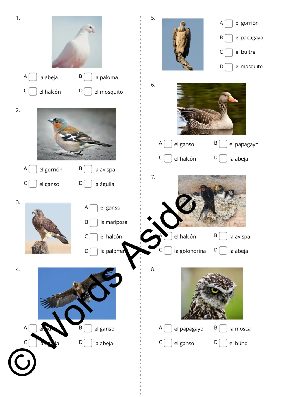 Spanish animal photo questions 1–8 ask students to choose names for dove, sparrow, falcon, and five more
