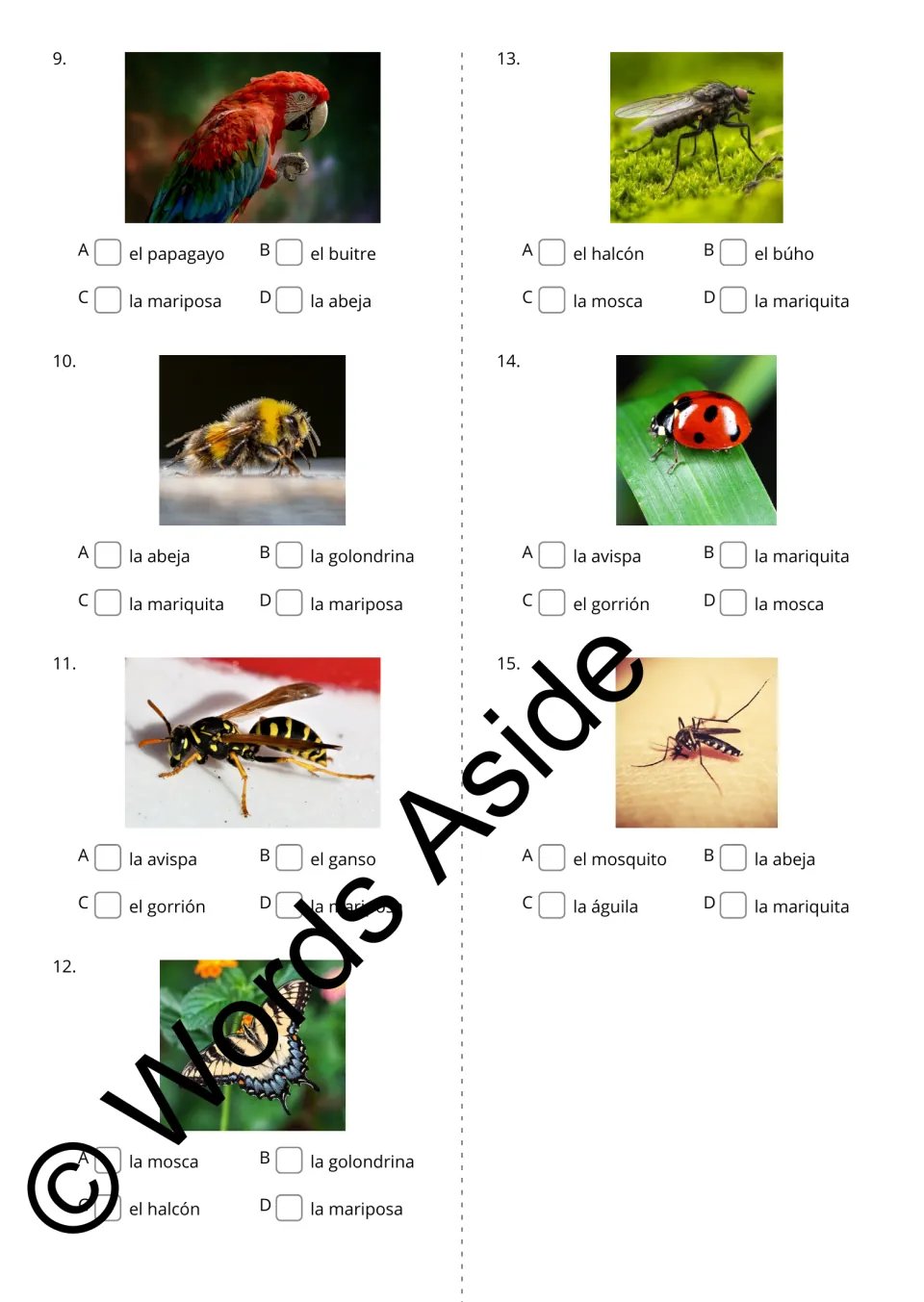 Spanish animal photo questions 9–15 ask students to name a parrot, bee, wasp, butterfly, fly, ladybug, and mosquito