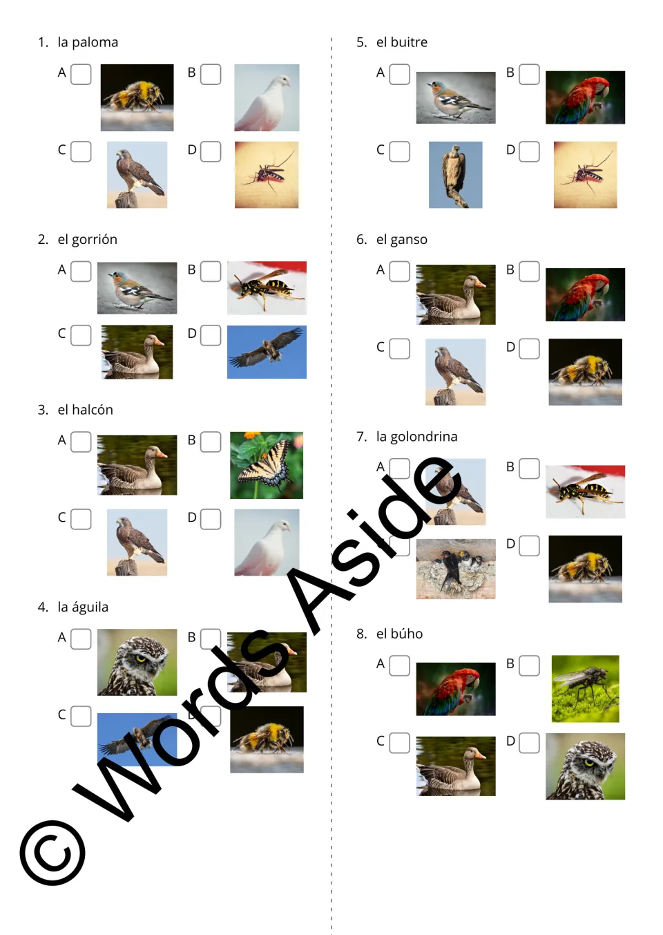 Spanish word-to-photo questions 1–8 include paloma (dove), gorrión (sparrow), and halcón (falcon)